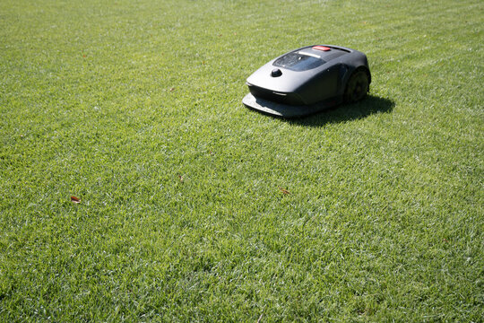 Lawn mowed by a robotic mower.
