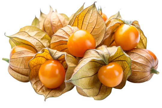 autumn still life with fruits isolated on white background 