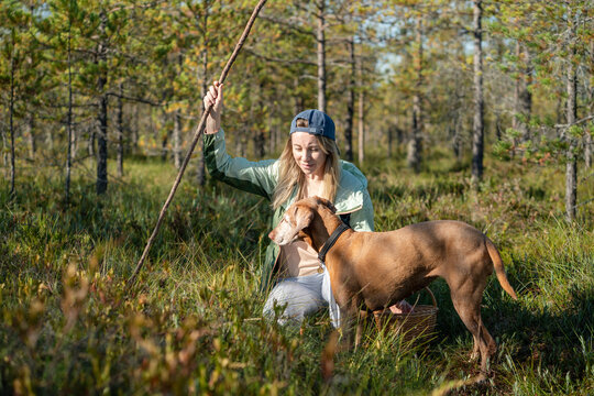 Adventures and harvesting natural food in forest, smiling woman forager picking roots and mushrooms with dog, female hobbyist exploring marshland, searching gathering seasonal edibles in woodlands.