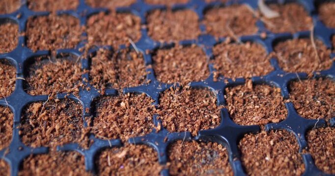 Close up of seed starter tray filled with coconut coir potting soil