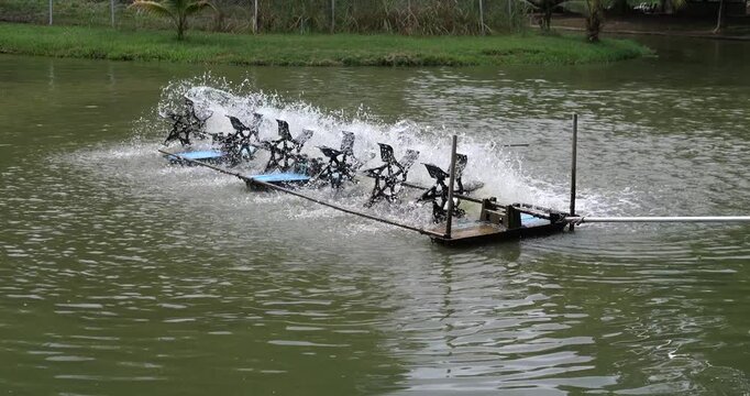 Paddle wheel aerator splashing water to increase oxygen in pond