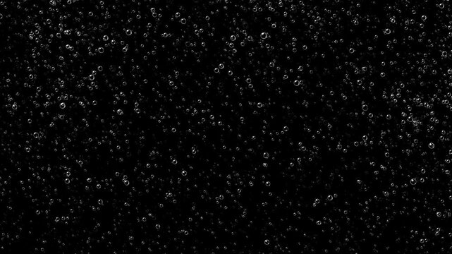 Animated cartoon bubbles rising to the top
