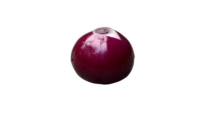 A single fresh vibrant red onion isolated on a white background