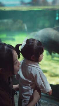 Back view of cute little Asian girl pointing at marine animal through aquarium glass tank, happy child exploring underwater sea life on family weekend vacation for early childhood education, travel