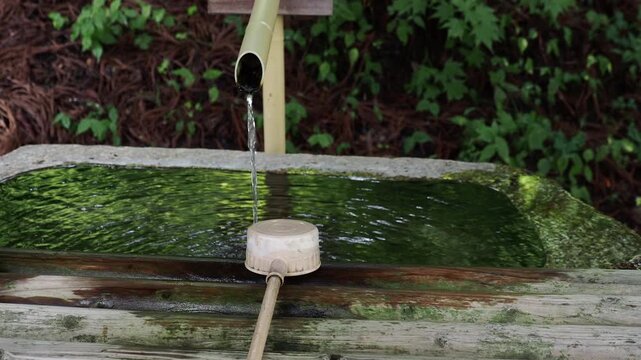 夏の観光名所平湯温泉の平湯神社の手水舎の風景