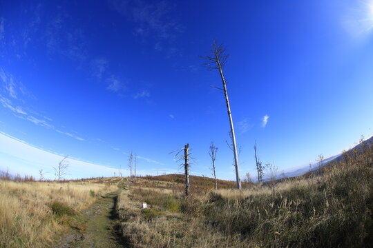 Wide nagle shots in G&oacute;ry Opawskie