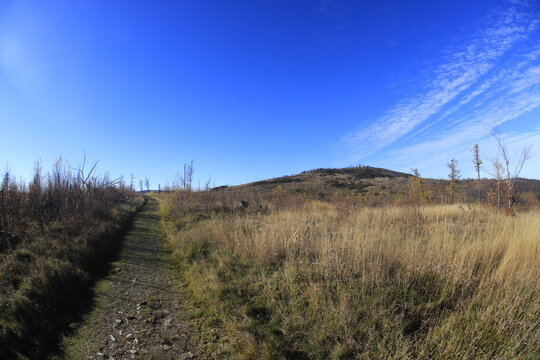 Wide nagle shots in G&oacute;ry Opawskie