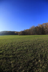 Obraz premium Autumn LAndscapes in Czech republic