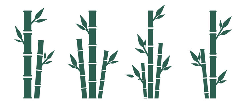 Bamboo Tree Illustration Collection with Traditional Asian Bamboo Plant Set for Oriental Nature Decoration, Branding and Garden Design