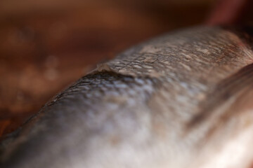 Close-up view of fish scales texture © Rychko Yevhen