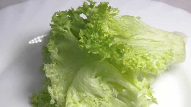Close-up of fresh green lettuce leaves rotating on a white plate, showcasing their crisp curly edges and vibrant textured surface under bright lighting.