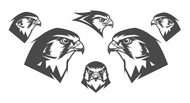 Detailed Eagle Head Illustrations in Various Styles.