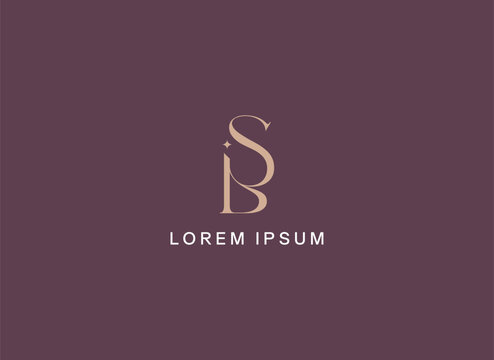 Unique sp letter typography brand logo design, ds golden logo, ps logo mark