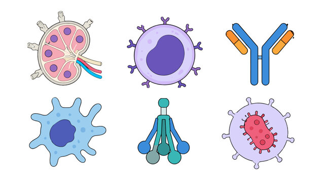 Medical biology icons with cells, antibody, kidney and microbe