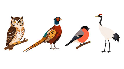 Obraz premium Set of four colorful bird illustrations on a white background