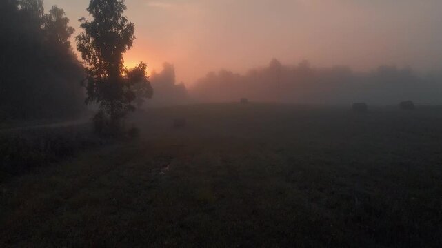 sunrise in the fog