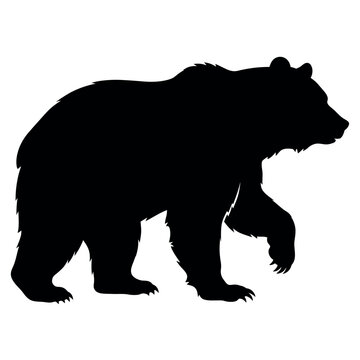 Bear standing silhouette, isolated on white background, flat vector.