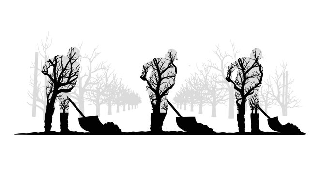 Silhouette of person digging holes near trees at dusk.