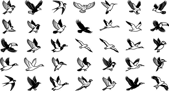 Flying Bird and Avian Wildlife Solid Icon Set Featuring Eagle Hawk Swallow Hummingbird Seagull Duck Crane and Toucan in Flight Symbols for Nature Designs