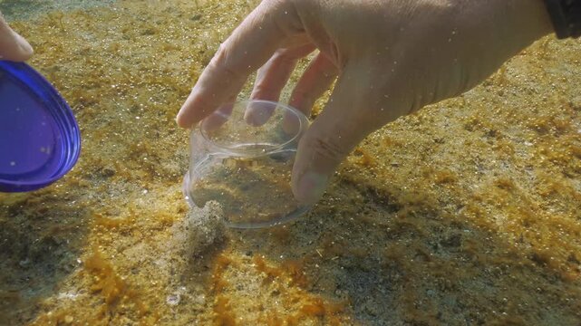 POV view of hydrobiologist taking samples from sand seabed covered in biofilm containing gas micro bubbles. Benthic sampling of golden-brown slime capsules containing small gas bubbles on seafloor