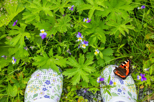 Gartenschuhe in einer gr&uuml;nen Blumenwiese mit einem Schmetterling