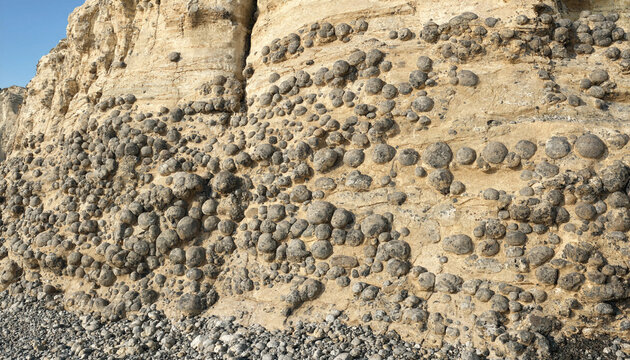 A tall cliff face composed of sandy soil embedded with numerous dark spherical rock concretions exposed along a beach shoreline under a blue sky