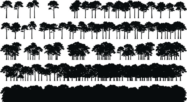 Black pine tree silhouettes, coniferous forest treeline vector set, evergreen woodland landscape elements for architectural visualization and design