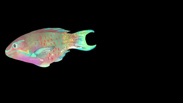 Parrot fish swimming animation