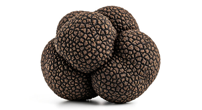 Fresh whole black truffle mushroom isolated on a white background.