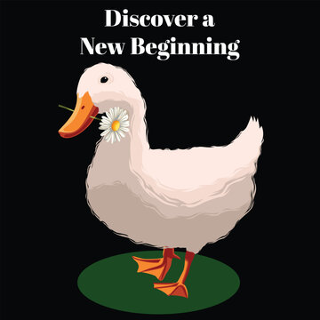 DISCOVER BEW BEGINNING