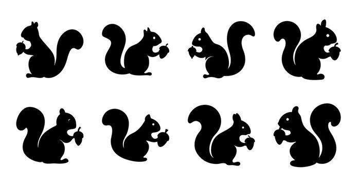 Black silhouette squirrels icon set collection - A clean set of black silhouette squirrels in various poses, perfect for icons, illustrations, or graphic design projects.