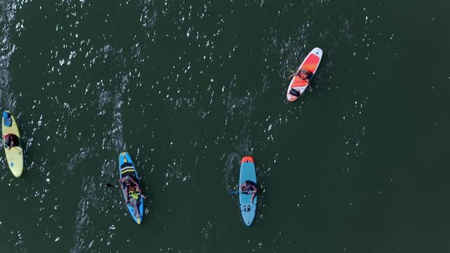 Budapest Romai Part, the scenic starting point of the Budapest SUP Festival, where hundreds of paddlers launch their Danube adventure