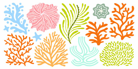 Colorful Coral Reef Designs A Vector Illustration On White Background © Raben