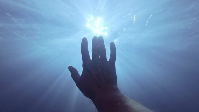 POV: Man snaps his fingers and waves his hand underwater, trying to attract dolphins, curious bottlenose swims up and looks at his hand, in dancing morning sunbeams piercing water surface background