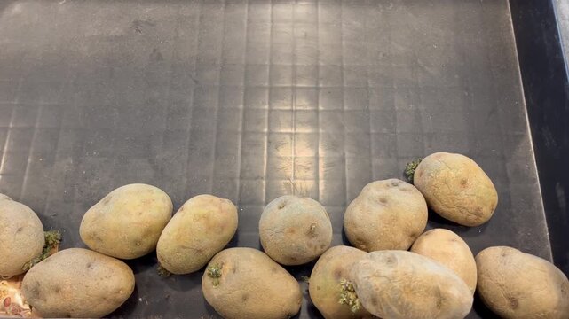 Fresh raw potatoes on container at local market background