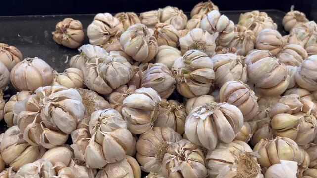 Close up of fresh organic garlic bulbs stacked on a black tray at market
