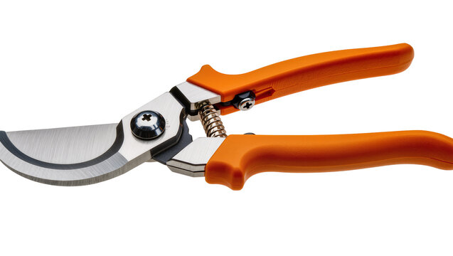 Isolated sharp hand pruner with vivid orange ergonomic handles, essential tool for gardening tasks