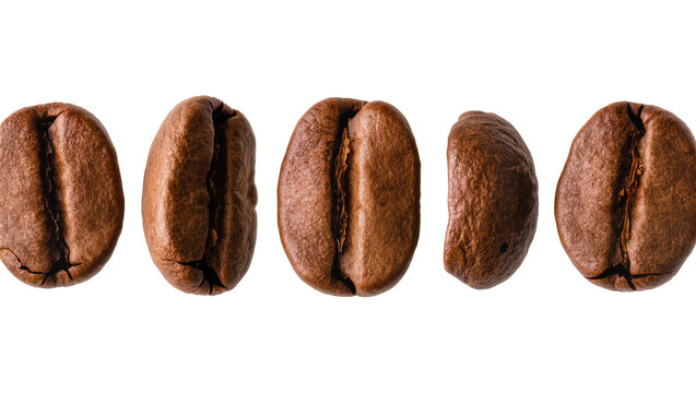 Isolated five whole dark roasted coffee beans arranged in a row, rich flavor ingredient