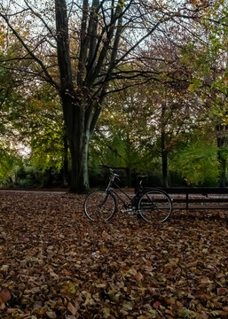 A black bicycle stands parked next to a wooden bench in a serene, autumnal park setting, surrounded by a thick layer of fallen brown leaves beneath a canopy of changing trees.