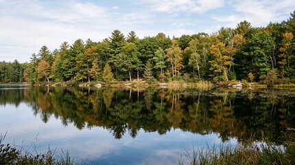 Fototapeta premium Tranquil Forest Lake with Tree Reflections on Blue Water Under Summer Sky and Clouds in a Beautiful Rural Nature Landscape