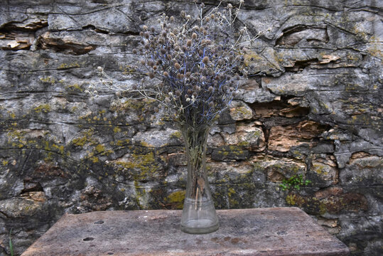 Dried blue thistle flowers in glass vase against rustic stone wall