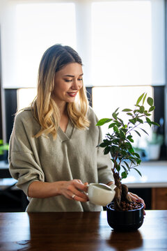 Plant care as a mindful hobby brings peace and relaxation, helping to reduce stress at home