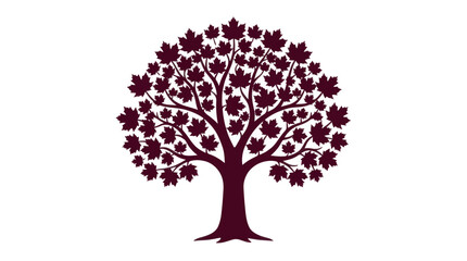 Fototapeta premium Maroon maple tree silhouette with foliage for nature and autumn design