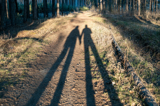Long Sunset Shadows of a Couple Walking Hand in Hand Through the Woods