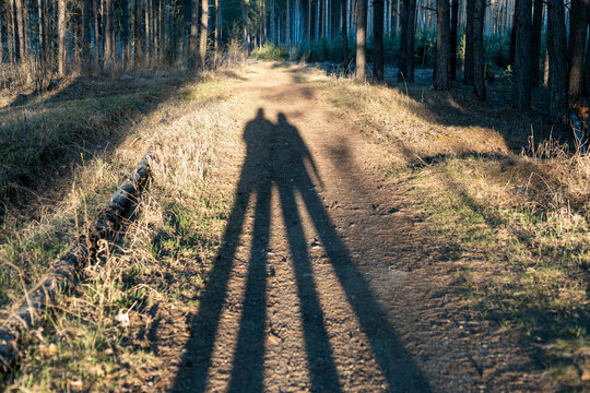 An Embrace in Golden Light, Two Silhouettes in the Woods