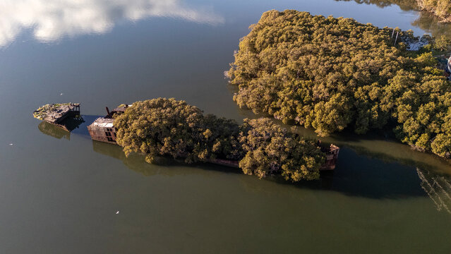 Shipwreck with forest growing out of its rusty hull on sunny day from high aerial view. Wreck in located in Homebush Bay, Parramatta river, Sydney Australia.
