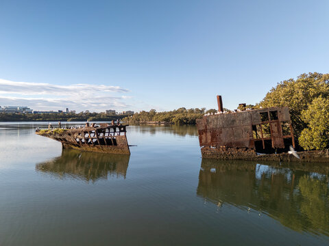 Shipwreck with forest growing out of its rusty hull on sunny day from low aerial view. Wreck in located in Homebush Bay, Parramatta river, Sydney Australia.
