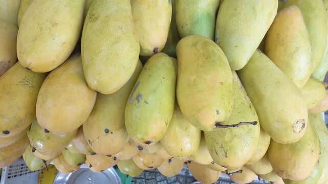 Close-up of fresh red and yellow mangoes piled at a local market stall. Symbolizes tropical agriculture, healthy eating, and summer harvest. Ideal for raw superfood, healthy diets, and health concept