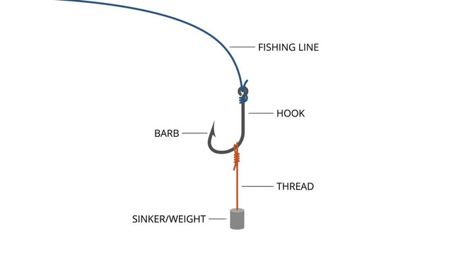 Fishing Rig Diagram: Hook, Line, Sinker, and Thread