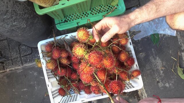 Hand selecting fresh rambutan fruits at Vietnamese market stall. Symbolizes tropical agriculture, exotic produce, and Asian street markets. Ideal for travel, food, and agriculture content